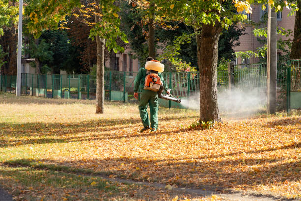 Best Affordable Pest Control Services  in East Cleveland, TN