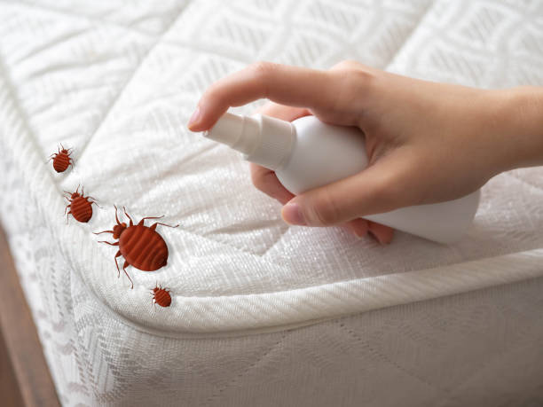 Reliable East Cleveland, TN Pest Control Solutions