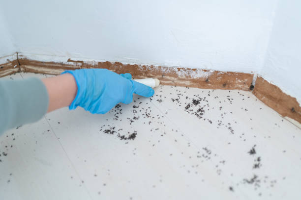 Best Pest Removal Services  in East Cleveland, TN