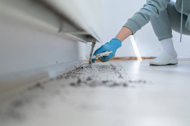 Best Pest Prevention Services  in East Cleveland, TN